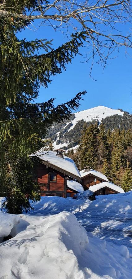 Le Chalet De Nabor Les Gets Exteriör bild