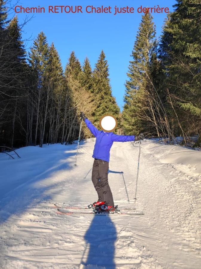 Le Chalet De Nabor Les Gets Exteriör bild
