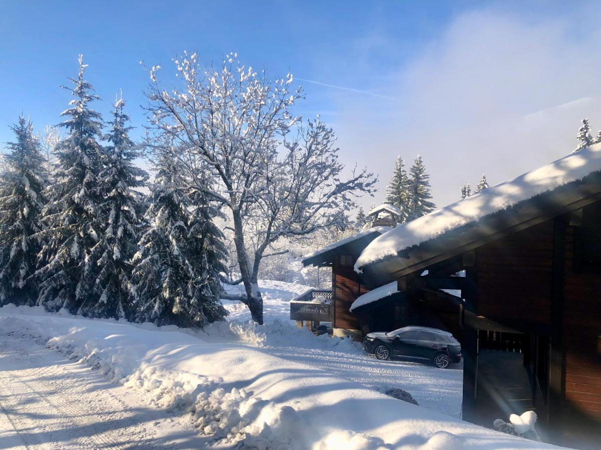 Le Chalet De Nabor Les Gets Exteriör bild