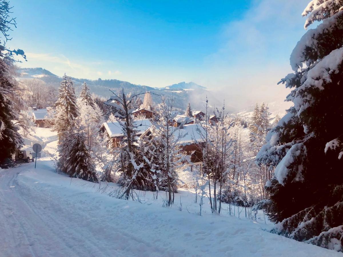 Le Chalet De Nabor Les Gets Exteriör bild