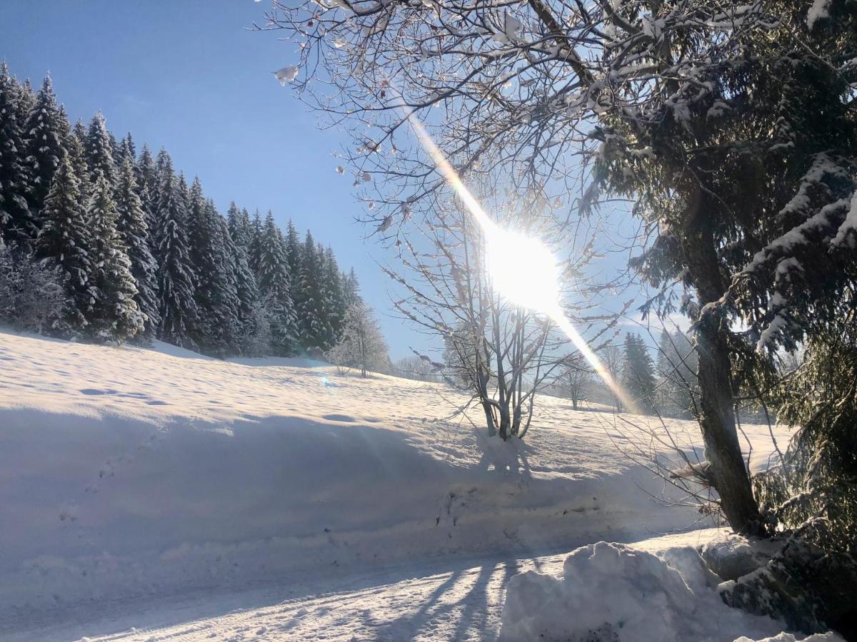 Le Chalet De Nabor Les Gets Exteriör bild