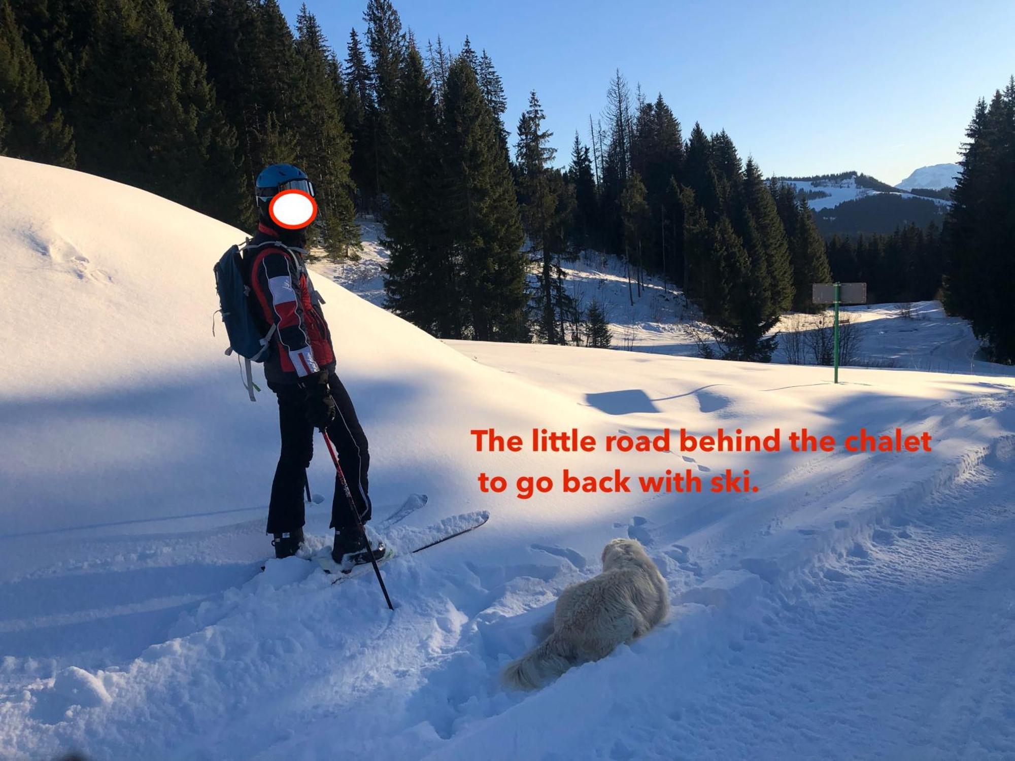 Le Chalet De Nabor Les Gets Exteriör bild